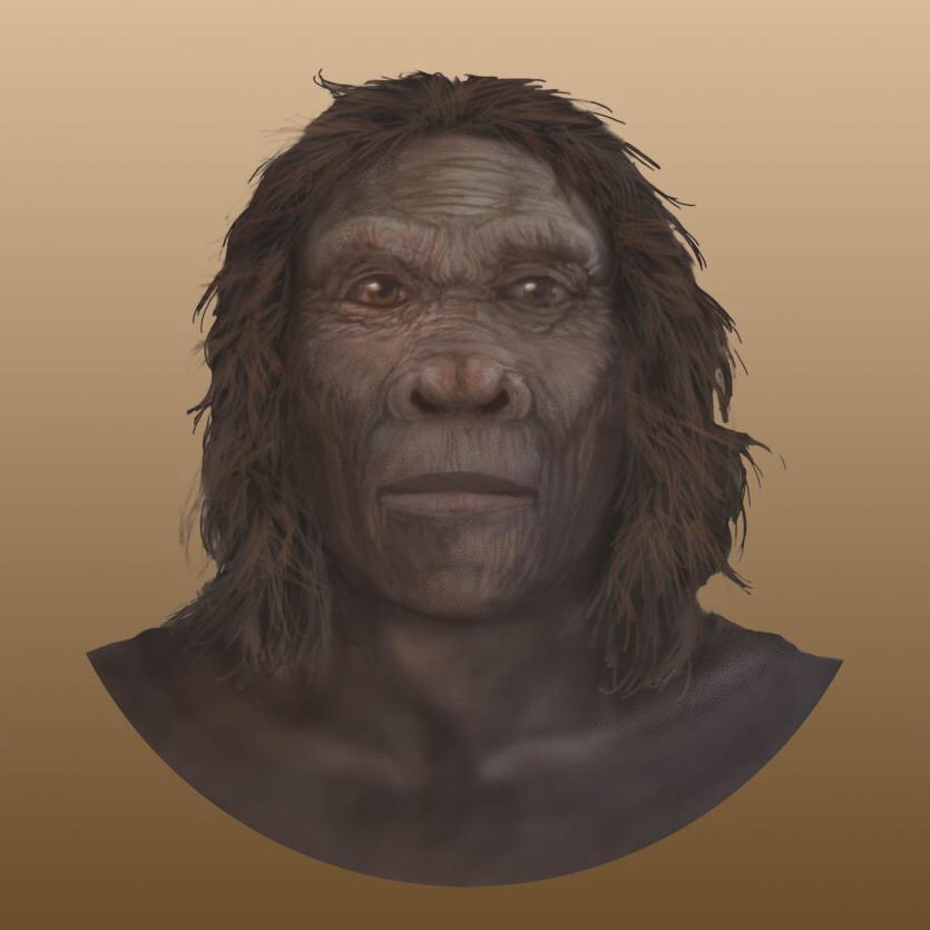 FIRST PRIMATE IN GENUS HOMO