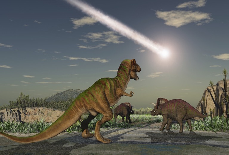65 Million Years Ago Dinosaurs and Other Animals Go... | Sutori