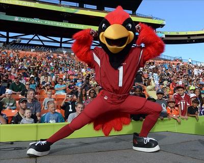 Arizona Cardinals mascot Big Red does his part during the Salute