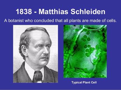 Matthias Schleiden in 1838