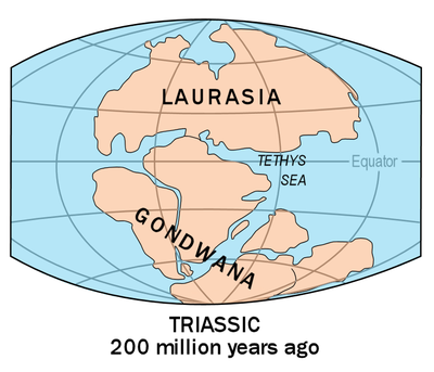 This is a photo of Laurasia and Gondwana. These continents existed 220 ...