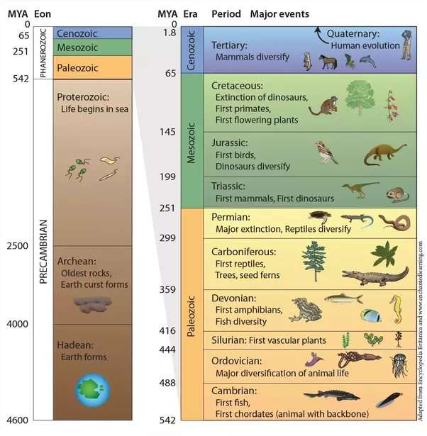 Earth Began 4 6 Billion Years Ago 