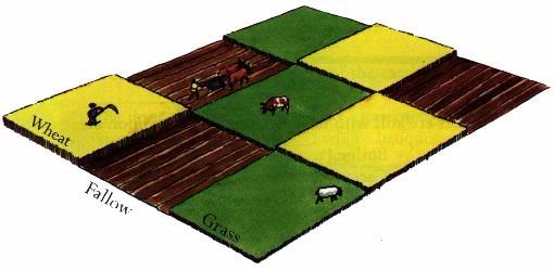 Field system in Ballinlaban