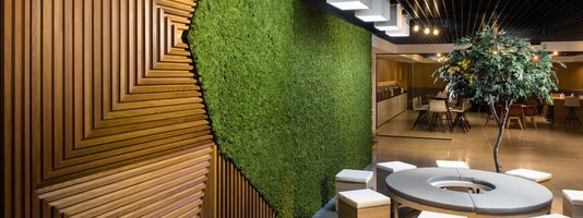 Moss Walls - Greenjeans Interiorscape