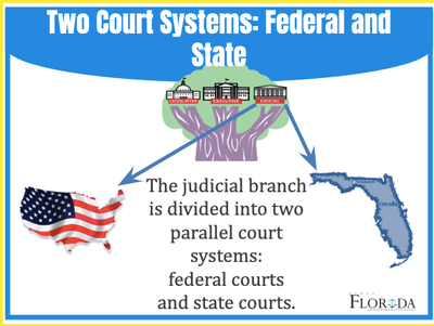 Federal vs State Structure