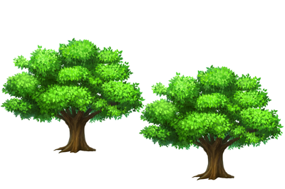 Two Tree Lengths Students would think that the first tree is taller when they are ...