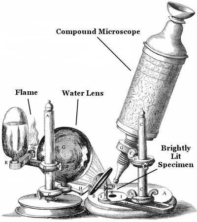 Hookes illustration of a compound microscope