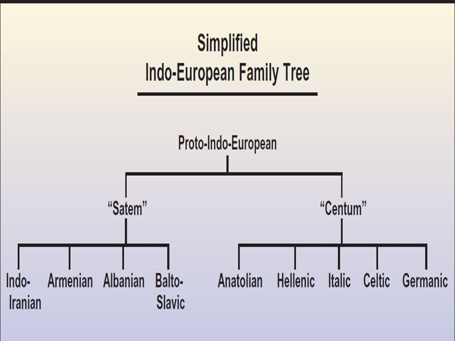 The division of the indo european languages into satem and centum