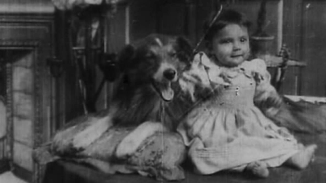 Rescued by Rover (1905) is the first recognised British Social Realism film