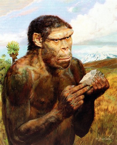 homo-erectus