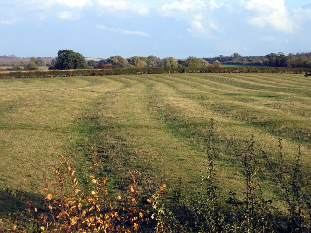 The Agricultural Revolution Sutori