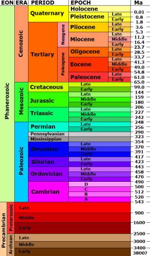 The Phanerozoic Eon Lasted For 543 Mya To Present Time And It Has The 