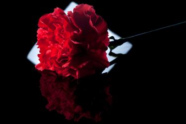 Paul S Case A Study In Temperament Paul Entered Sutori