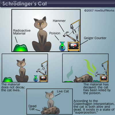 Name: Schrodinger's Cat Experiment