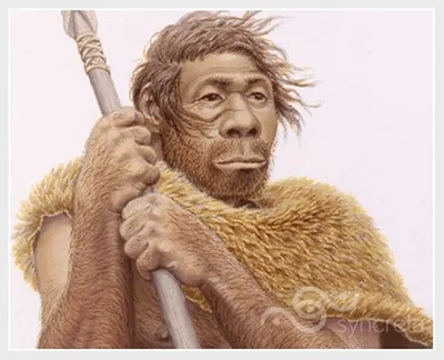 This is an image/artwork of a Homo Sapien. As you can probably tell ...