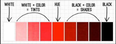 Value Scale Exercise: