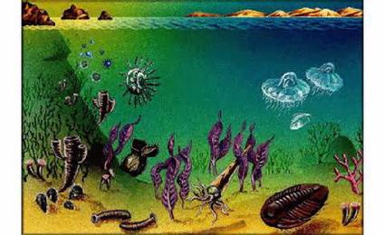 The Proterozoic Eon