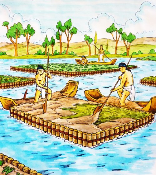 ancient-aztec-floating-gardens-tutorial-pics