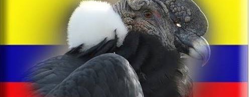 Colombia and the Andean condor