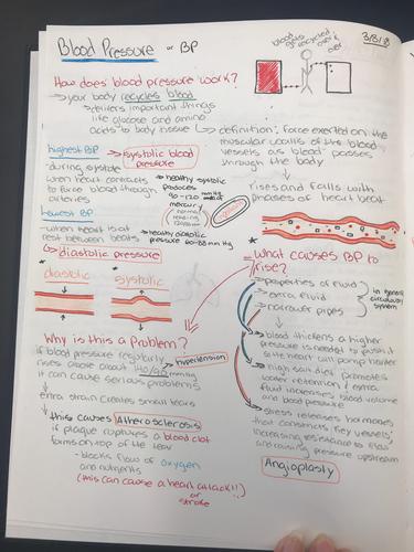 Blood Pressure Notes