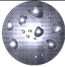 Formacion De Eubiontes Y Sistesis Biologica