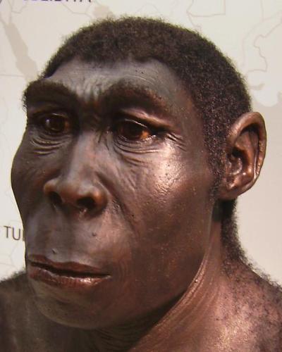 Human Types http://www.klimaundmensch.de/