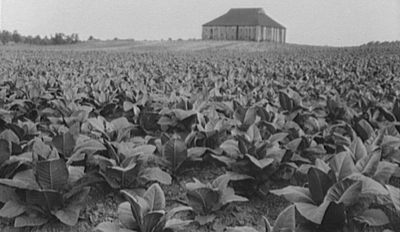 how many grams of tobacco can you bring into australia 2.1 Production and trade data as a basis for estimating tobacco consumption how many grams of tobacco can you bring into australia 2.1 Production and trade data as a basis for estimating tobacco consumption