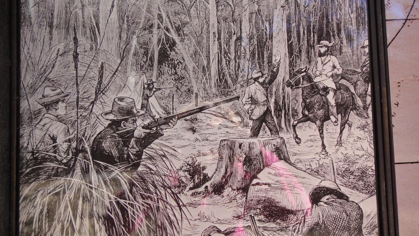 Stringybark creek