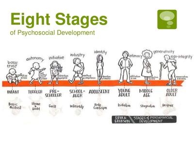 The 8 stages of psycho social development