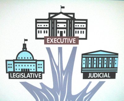 3 Branches of Government in the United States