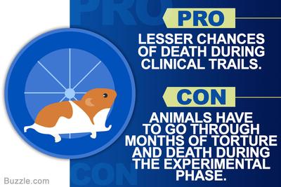 Animal testing is cruel! | Sutori Animal testing is cruel! | Sutori