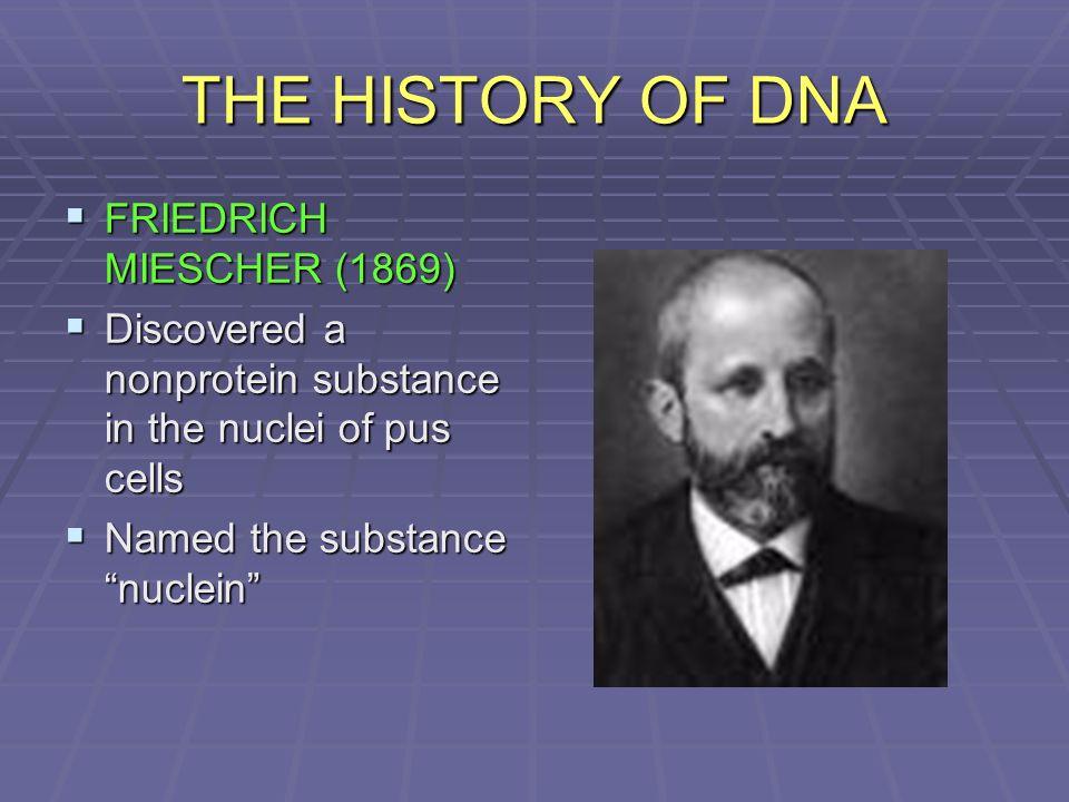 essay on the discovery of dna