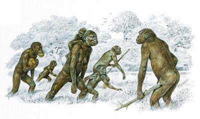 3 million years ago - first human-like creatures