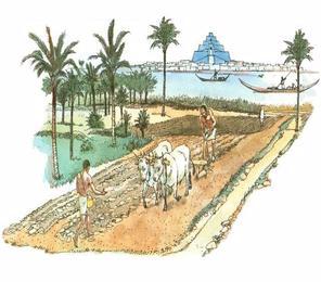 sumerian agriculture