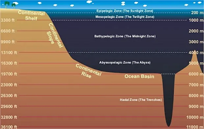 Five broad zones of the ocean.