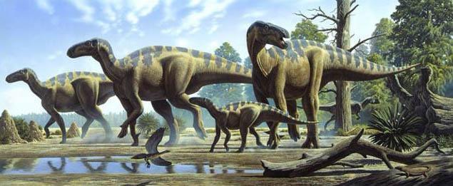 during-the-phanerozoic-eon-the-second-era-the-mesozoic-era-began-252