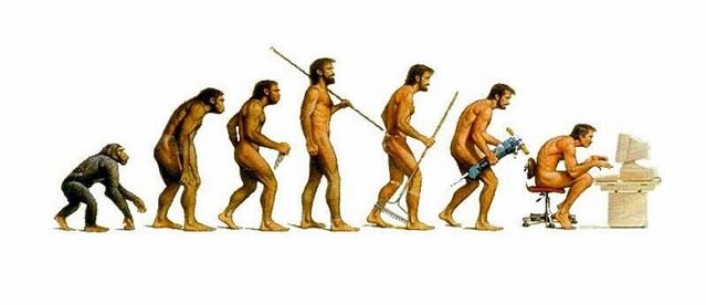 Etapas evolutivas del ser humano | Sutori