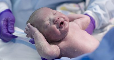 When babies are first born, all they do is cry, eat, and sleep.