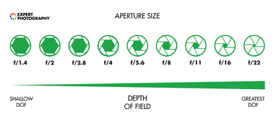 Aperture is a hole in the camera that allows light to enter the lens ...