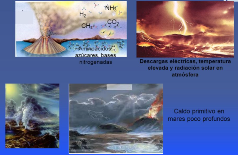 Teoria Quimiosintética En 1924 Oparin Haldane... Sutori