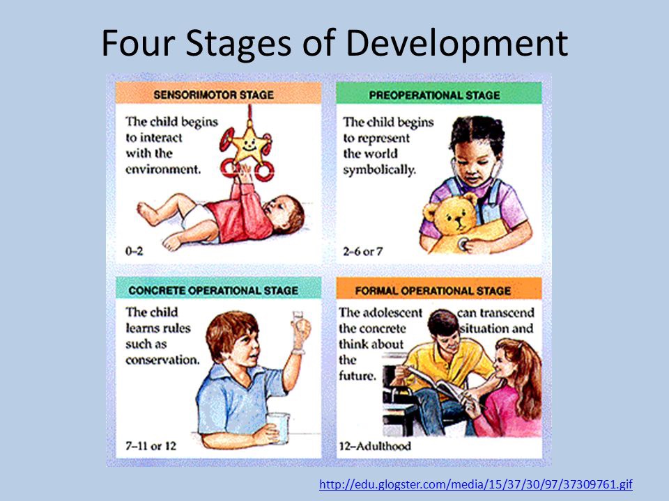 Piaget's 4 stage theory of development new arrivals