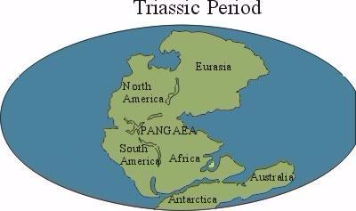 Triassic Period: 251 Million And 199 Million Years Ago