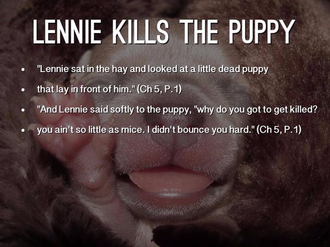 what does lennie killing the puppy symbolize