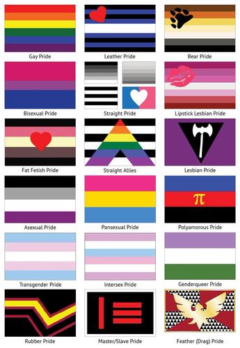 Source: http://clarebayley.com/2013/06/a-field-guide-to-pride-flags/