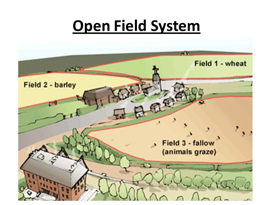 agricultural revolution crop rotation