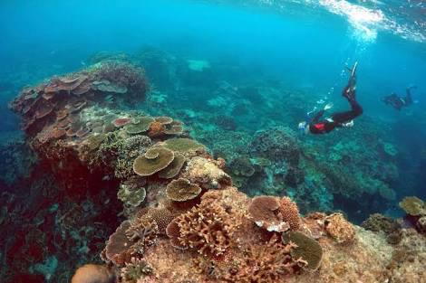 Great Barrier Reef, 1990