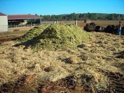 El ensilado debe ser siempre empacado en forma compacta y mantenido