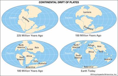 CONTINENTAL DRIFT OF THE CONTINENTS