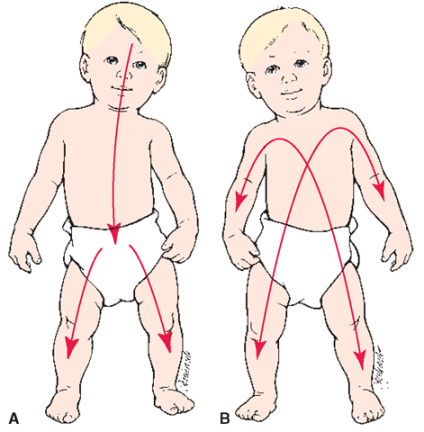 what is the proximodistal principle