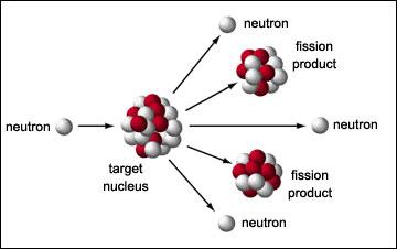 lise meitner atomic model